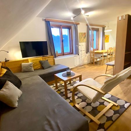 Apartman Ivko Letohrad エクステリア 写真