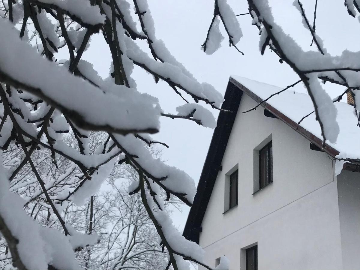 Apartman Ivko Letohrad エクステリア 写真