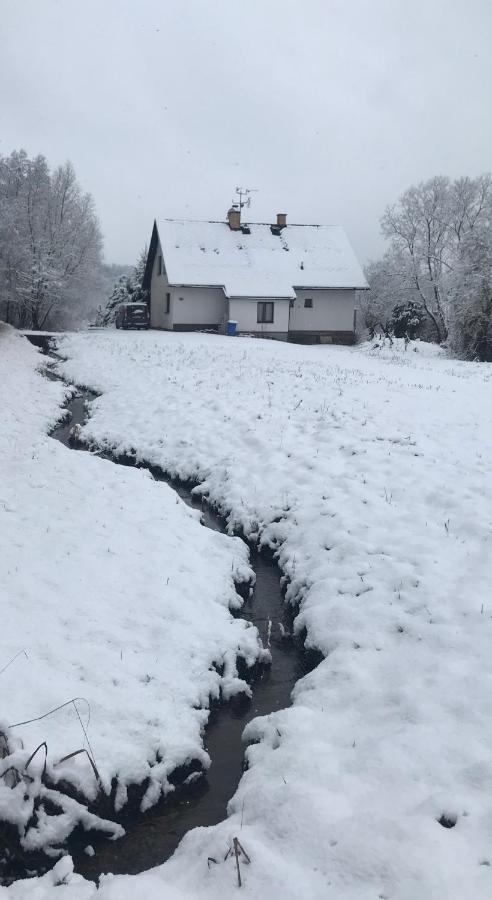Apartman Ivko Letohrad エクステリア 写真