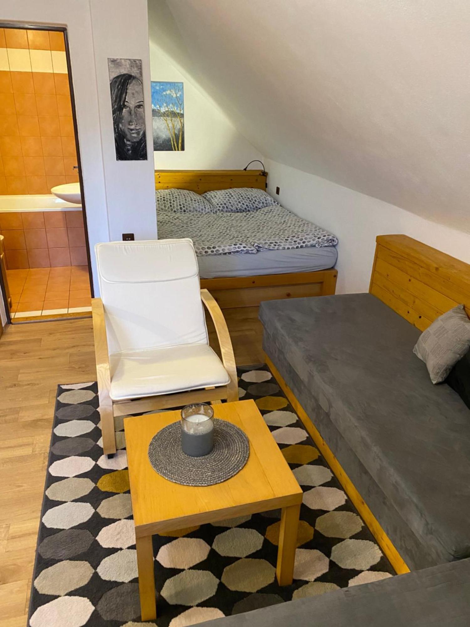 Apartman Ivko Letohrad エクステリア 写真